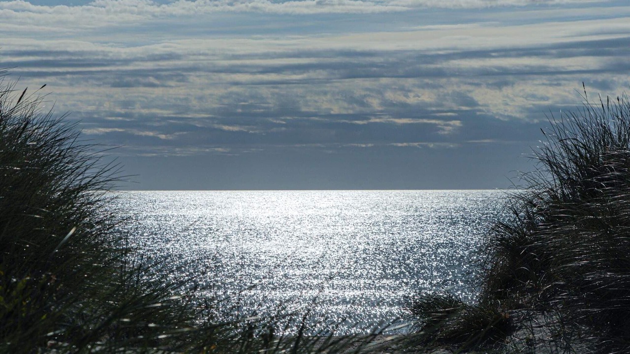 Photo of Others in Nordost