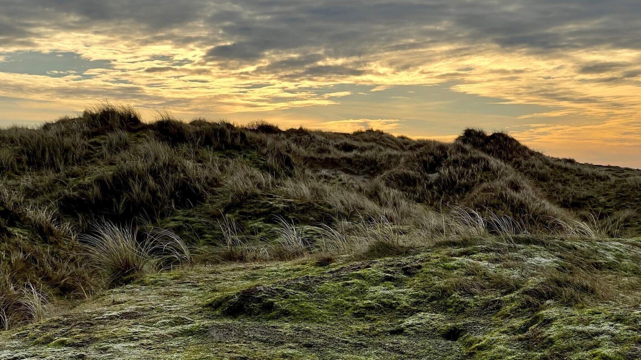Photo of Others in Rindby Strand