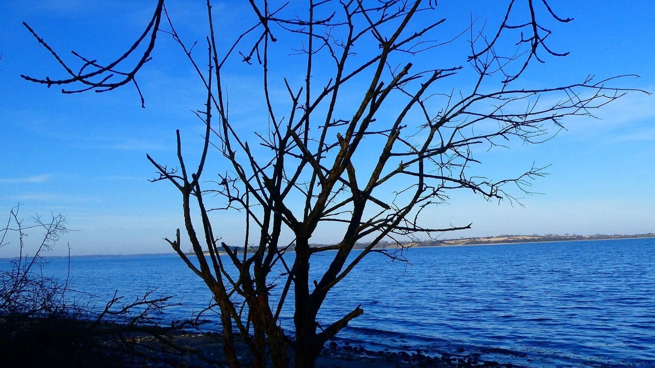 Photo of Others in Diernæs