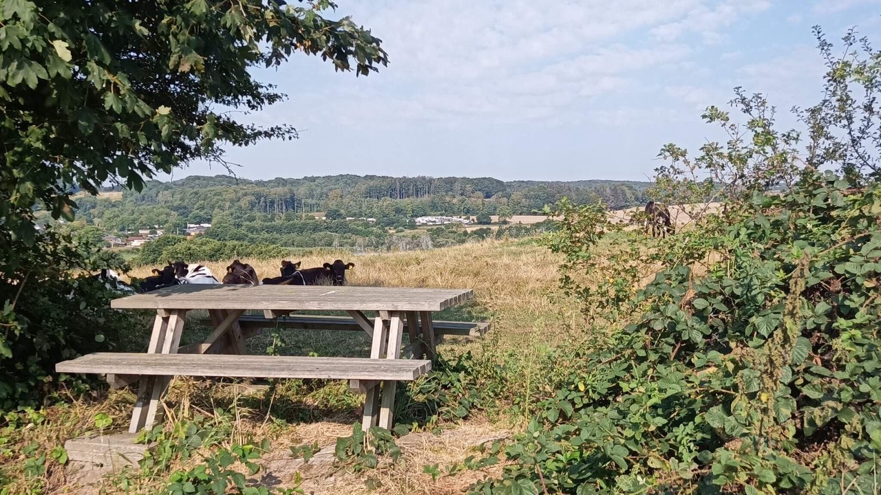 Photo of Outdoor in Diernæs