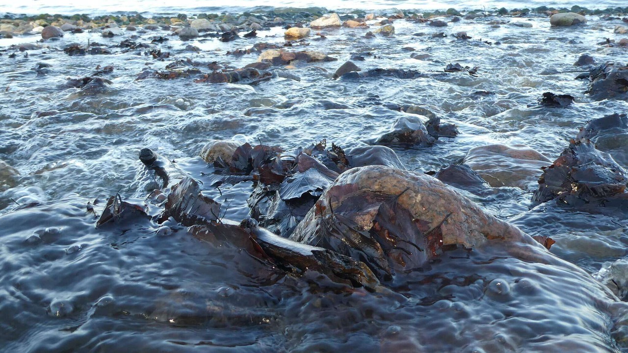 Photo of Others in Diernæs