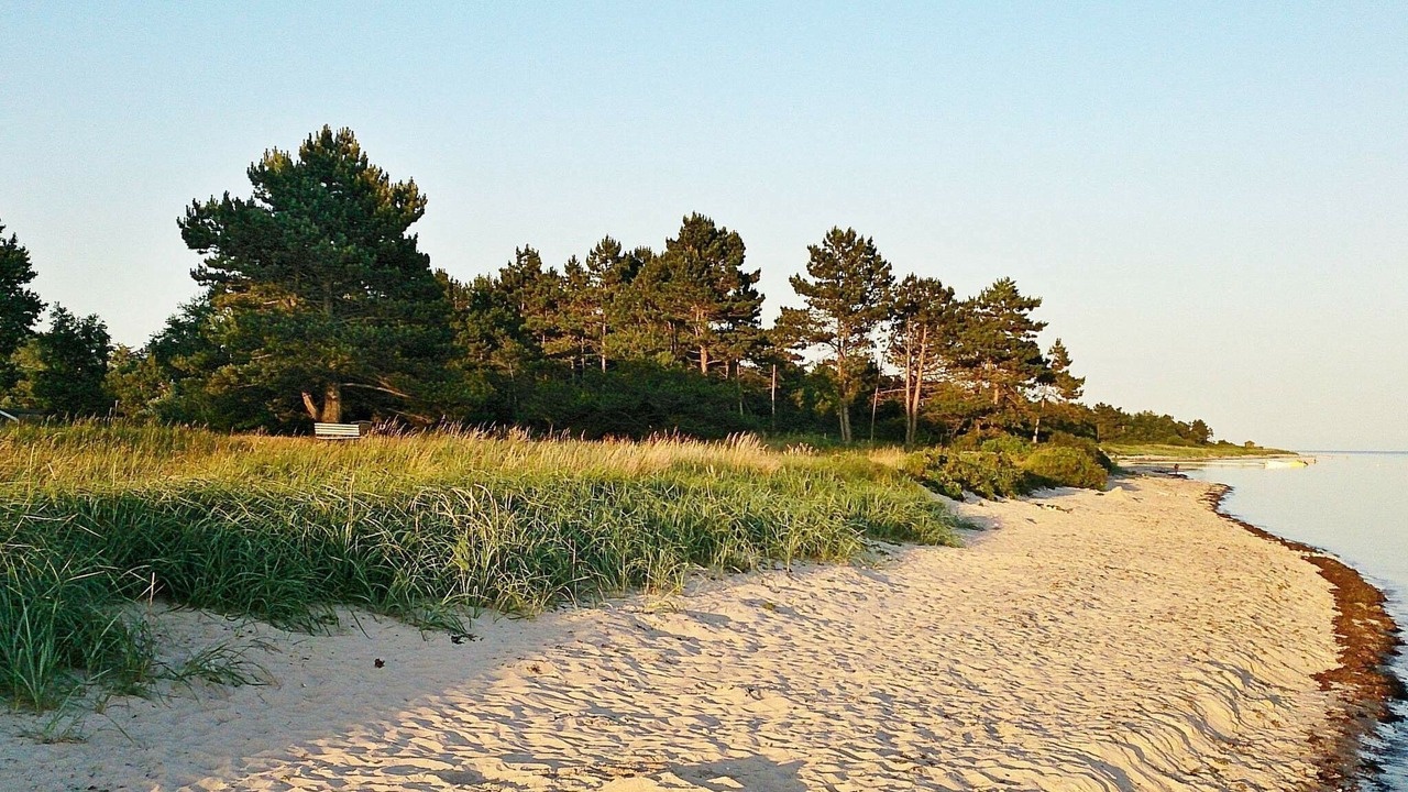 Photo of Outdoor in Kegnæshøj