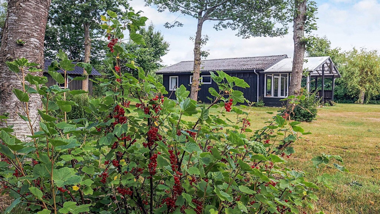 Photo of Outdoor in Thyholm