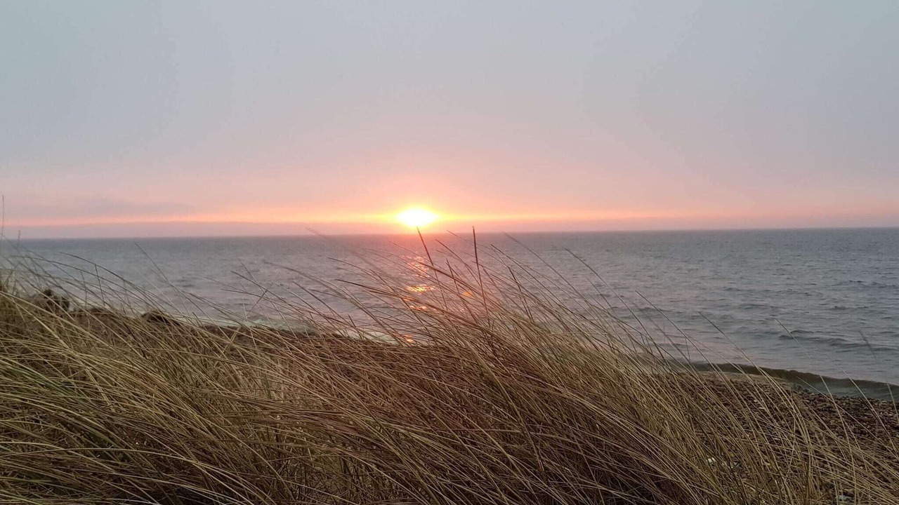 Photo of Others in Lild Strand