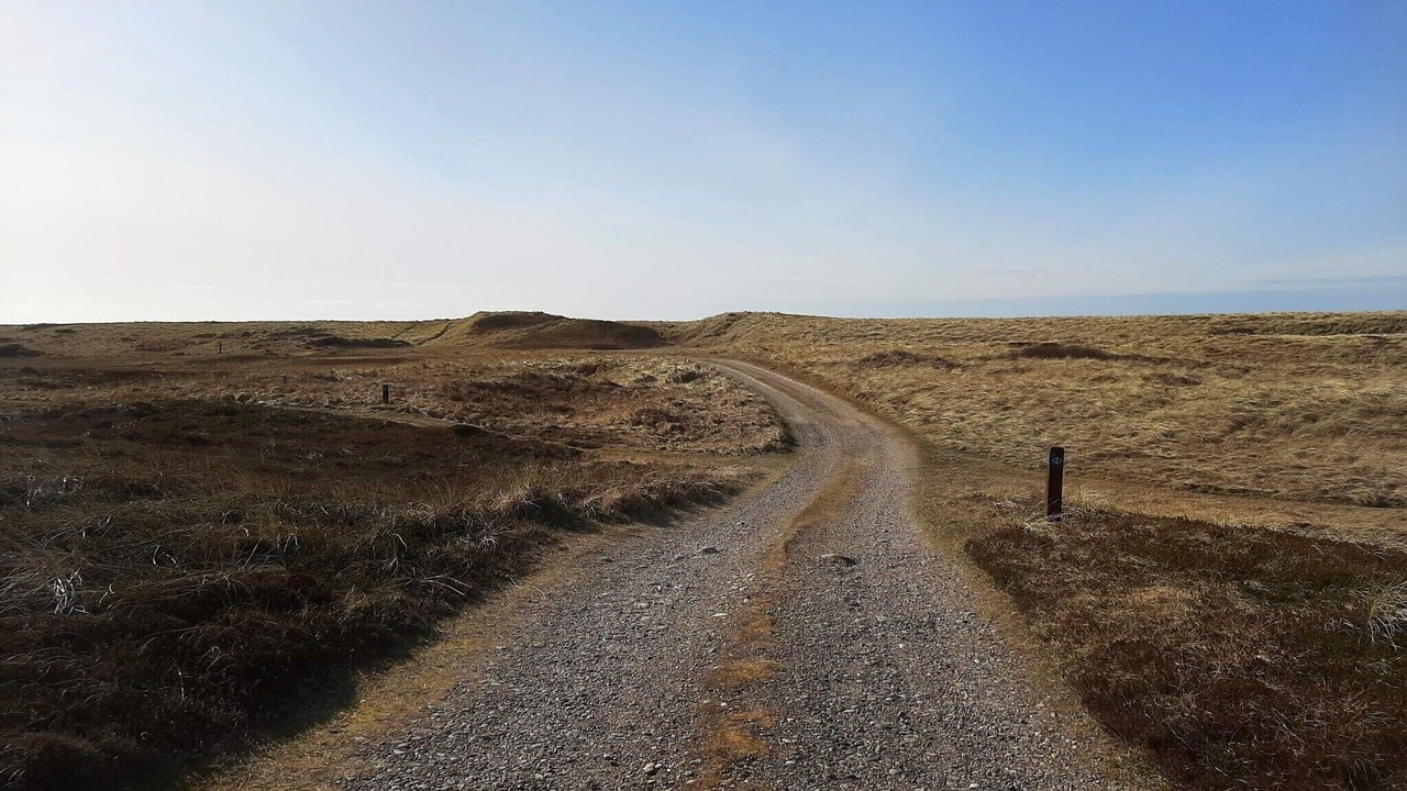 Photo of Others in Lild Strand