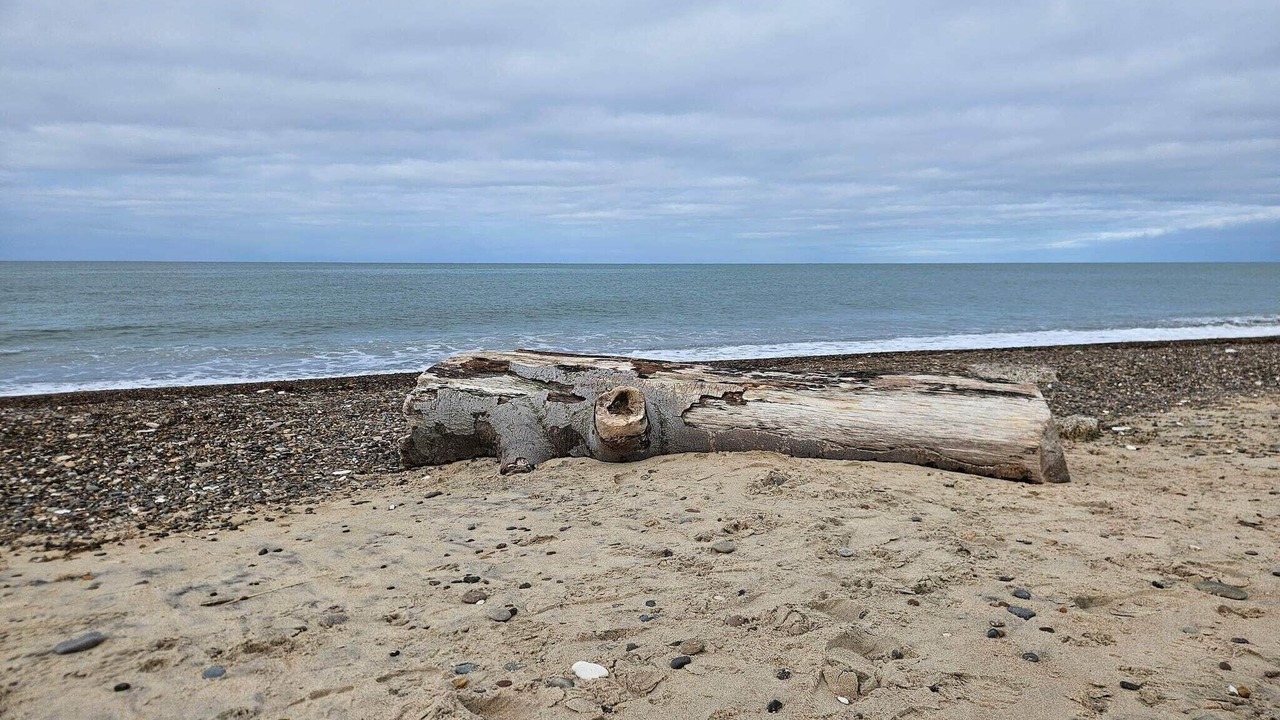 Photo of Others in Lild Strand
