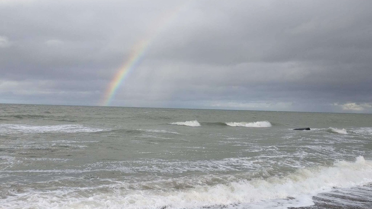 Photo of Others in Lild Strand