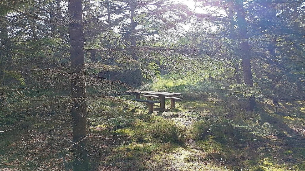 Photo of Outdoor in Lild Strand