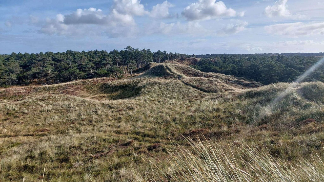 Photo of Others in Sønderstrand