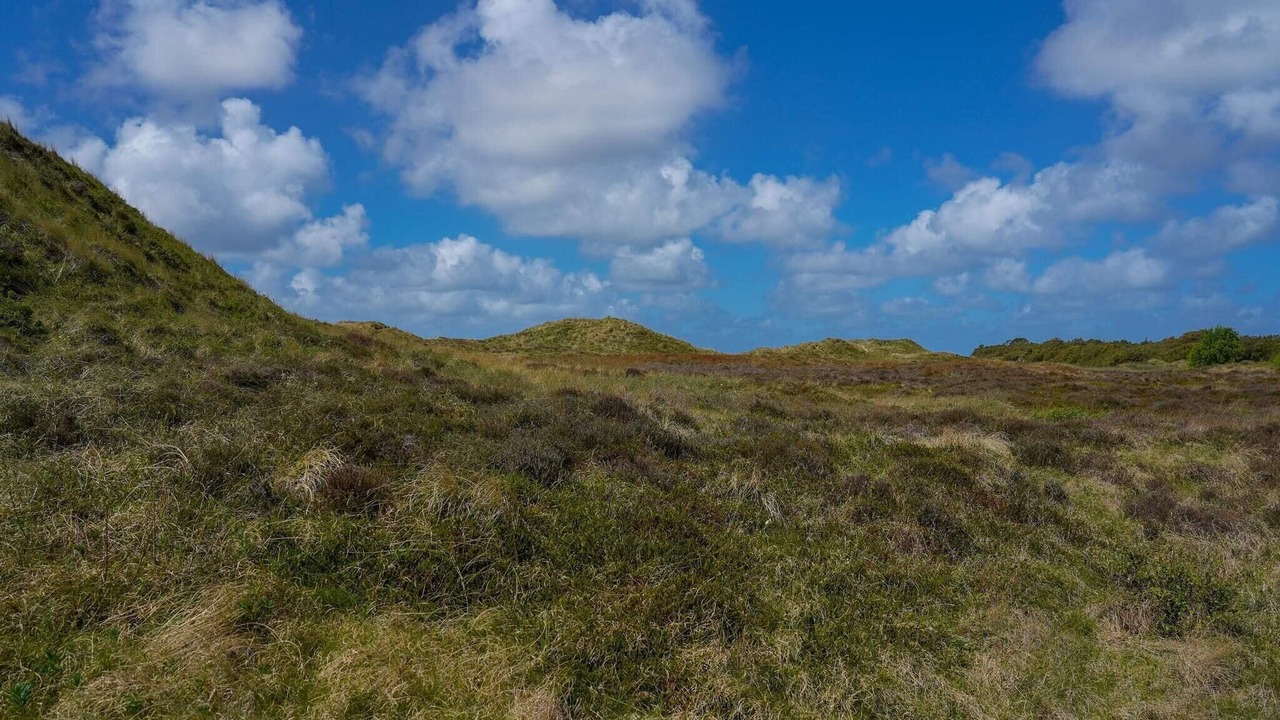 Photo of Others in Sønderstrand