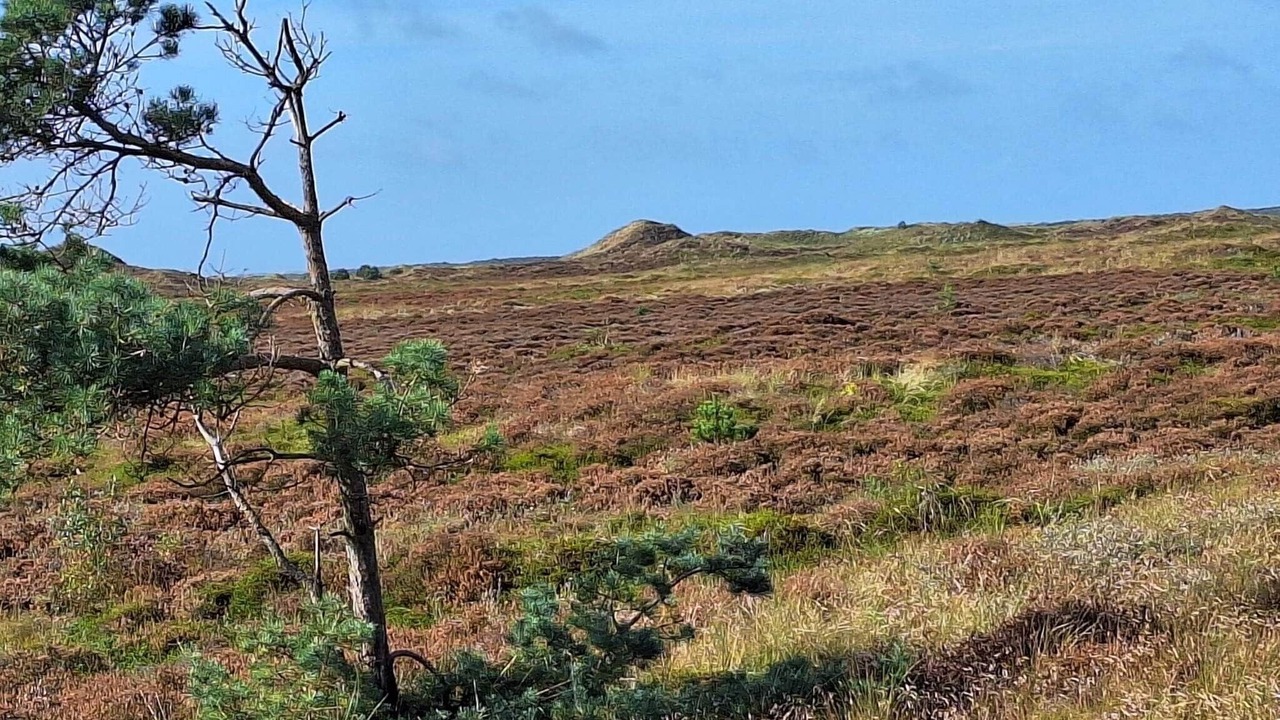 Photo of Others in Sønderstrand