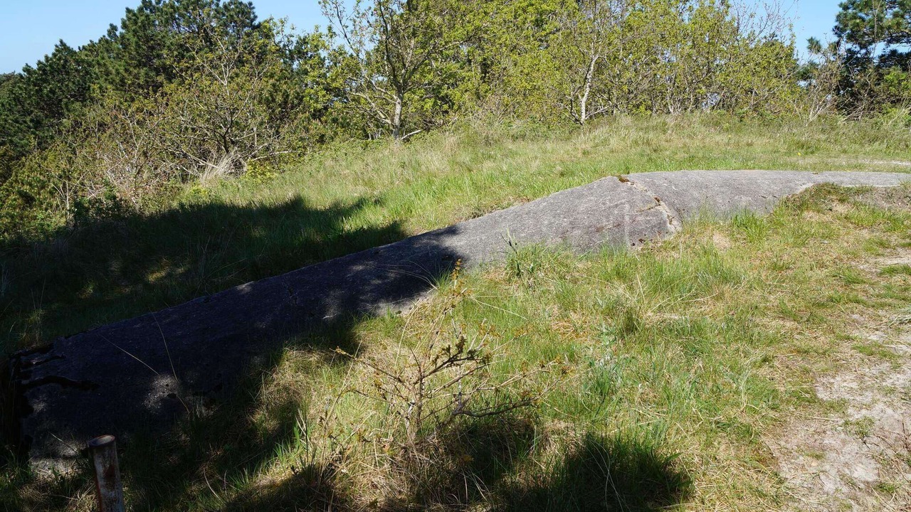 Photo of Others in Sønderstrand