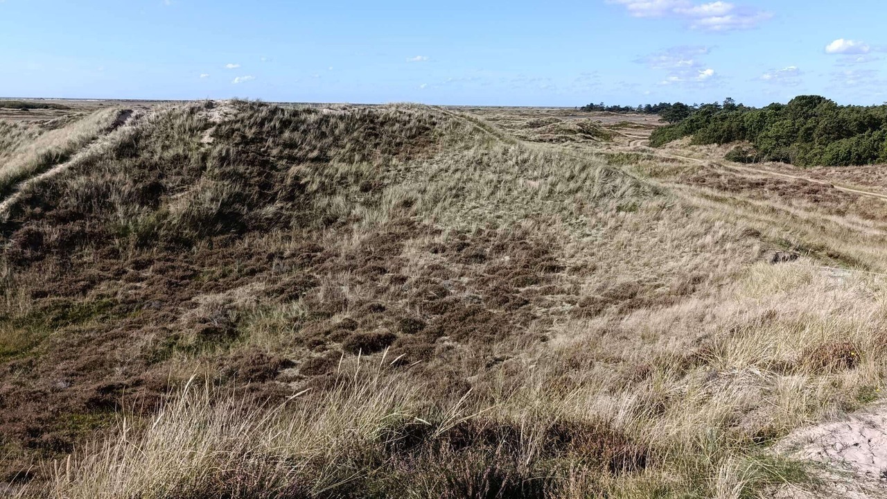 Photo of Others in Sønderstrand