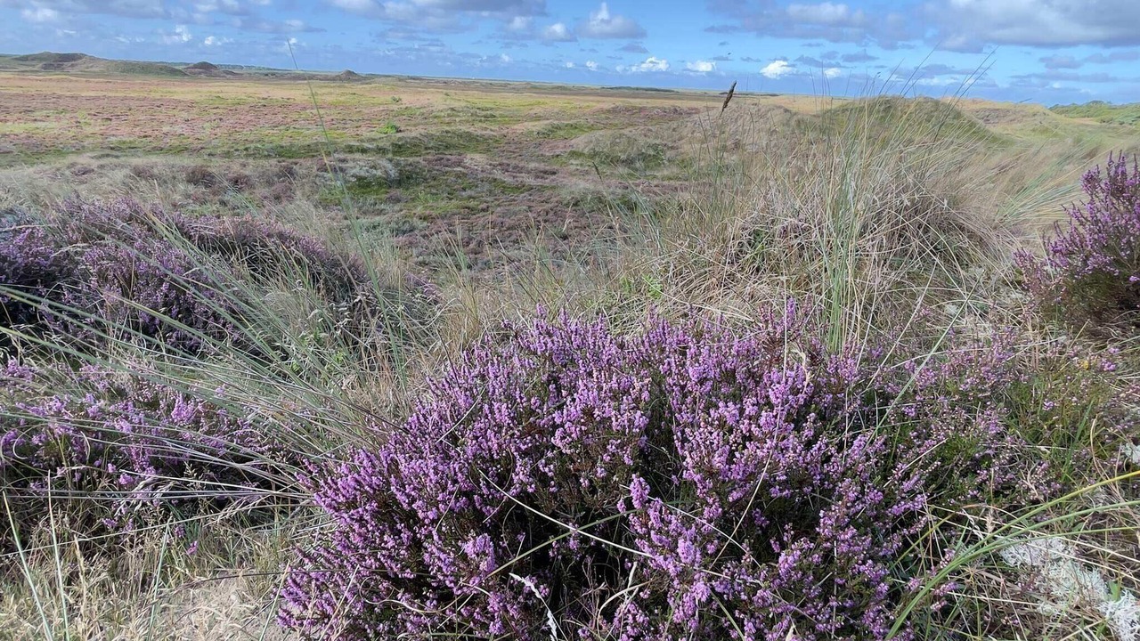 Photo of Others in Sønderstrand