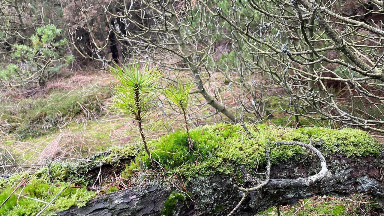 Photo of Outdoor in Sønderstrand
