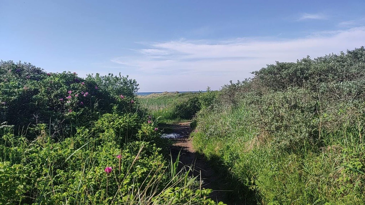 Photo of Outdoor in Skram