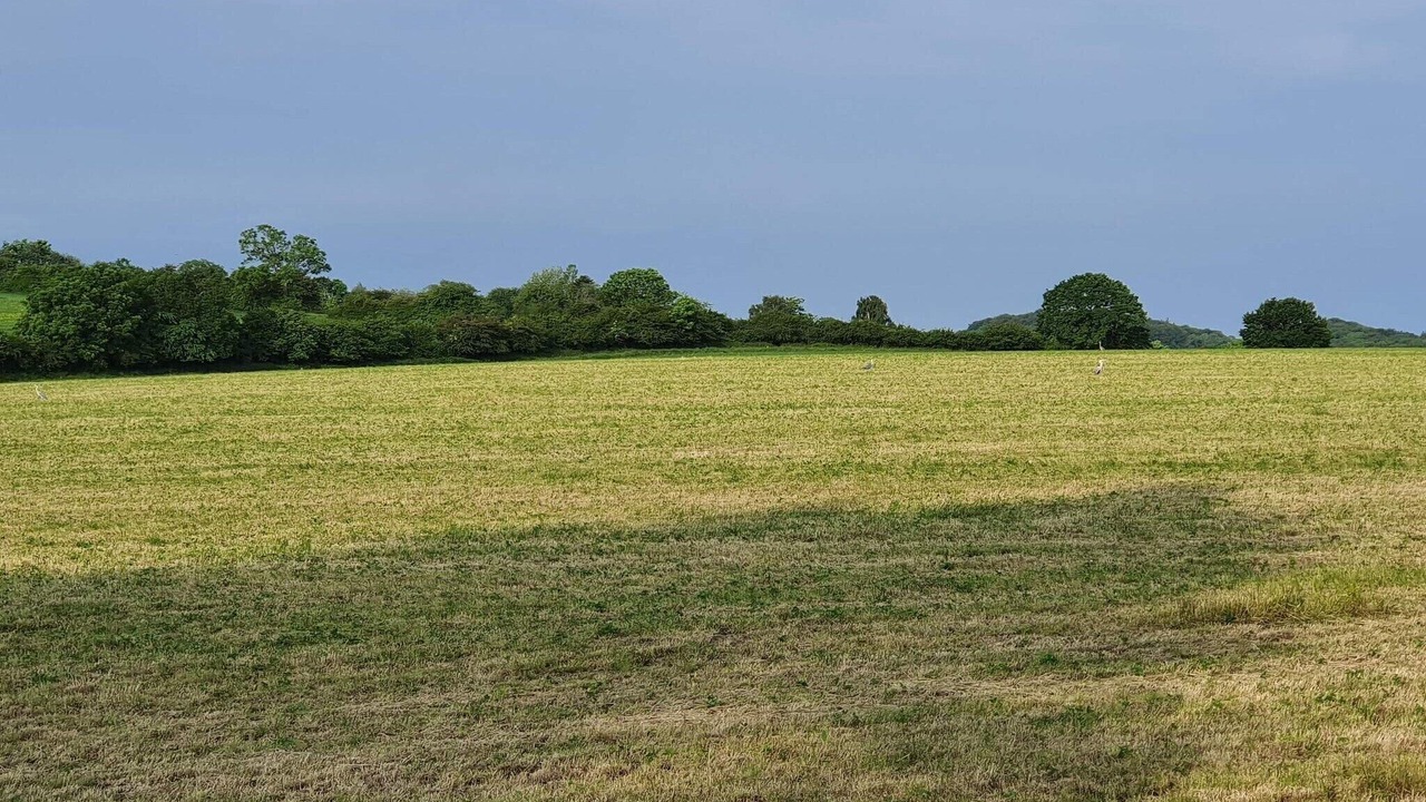 Photo of Others in Diernæs Strandby
