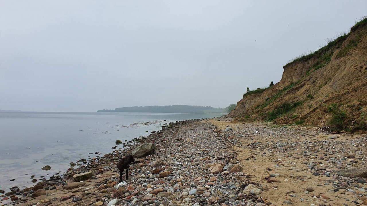 Photo of Others in Diernæs Strandby
