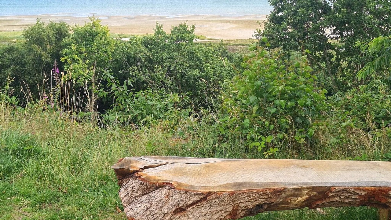 Photo of Others in Bønnerup Strand