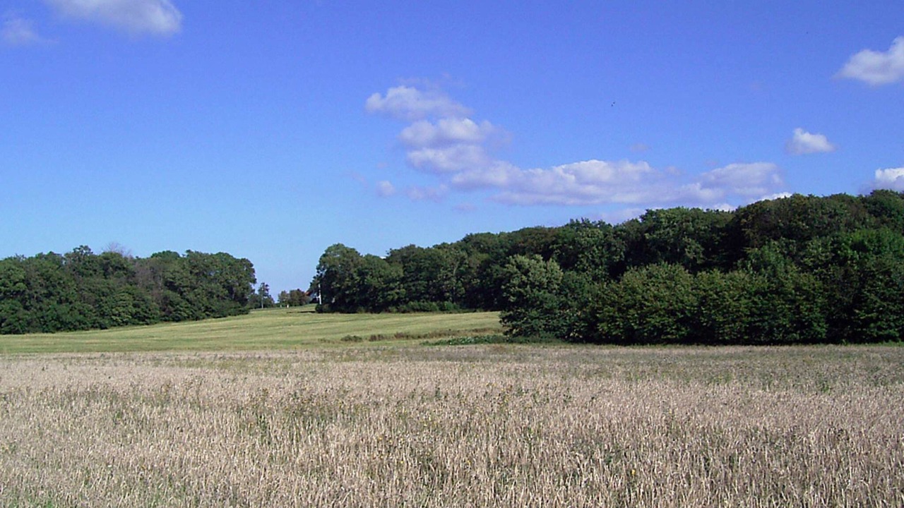 Photo of Others in Gudhjem