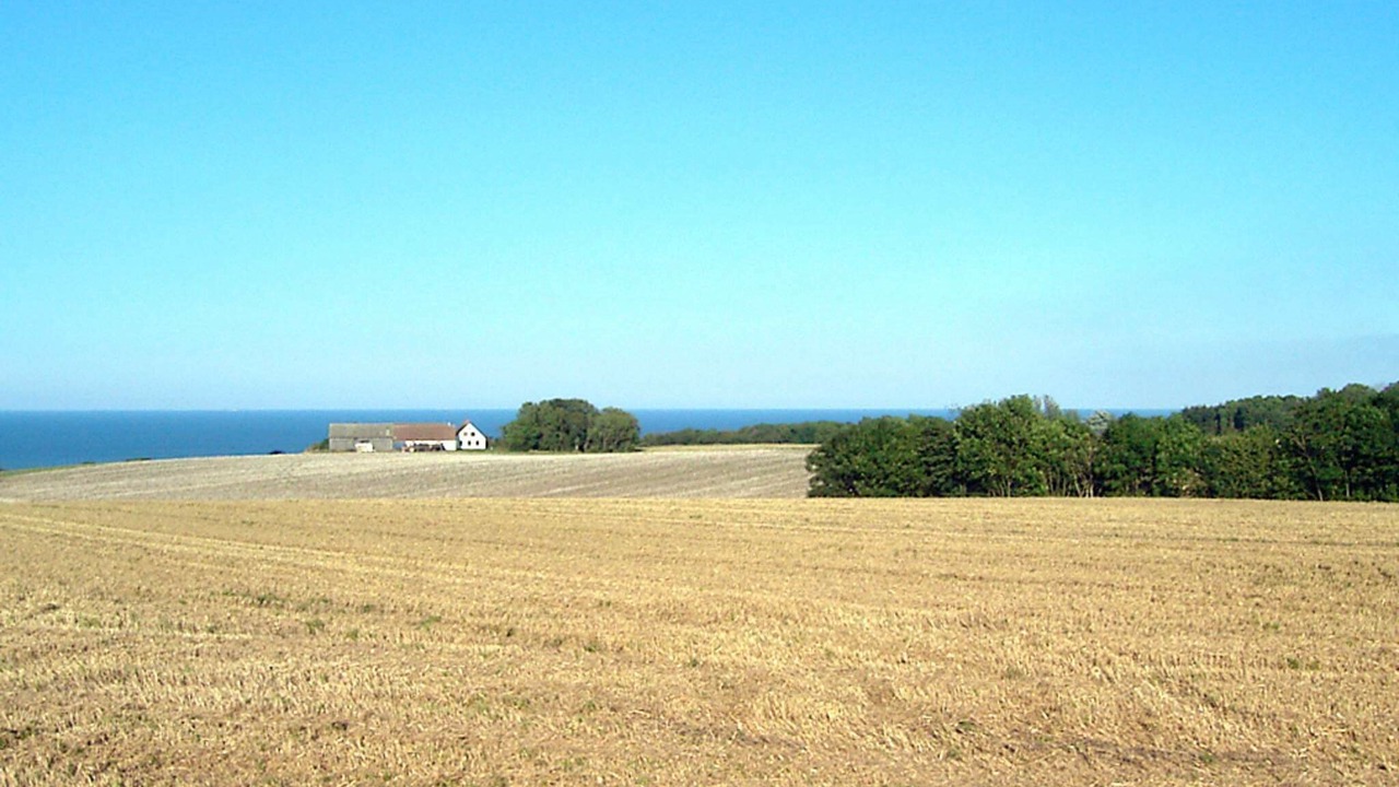 Photo of Others in Gudhjem