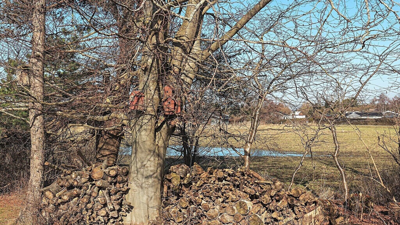 Photo of Others in Karrebksminde