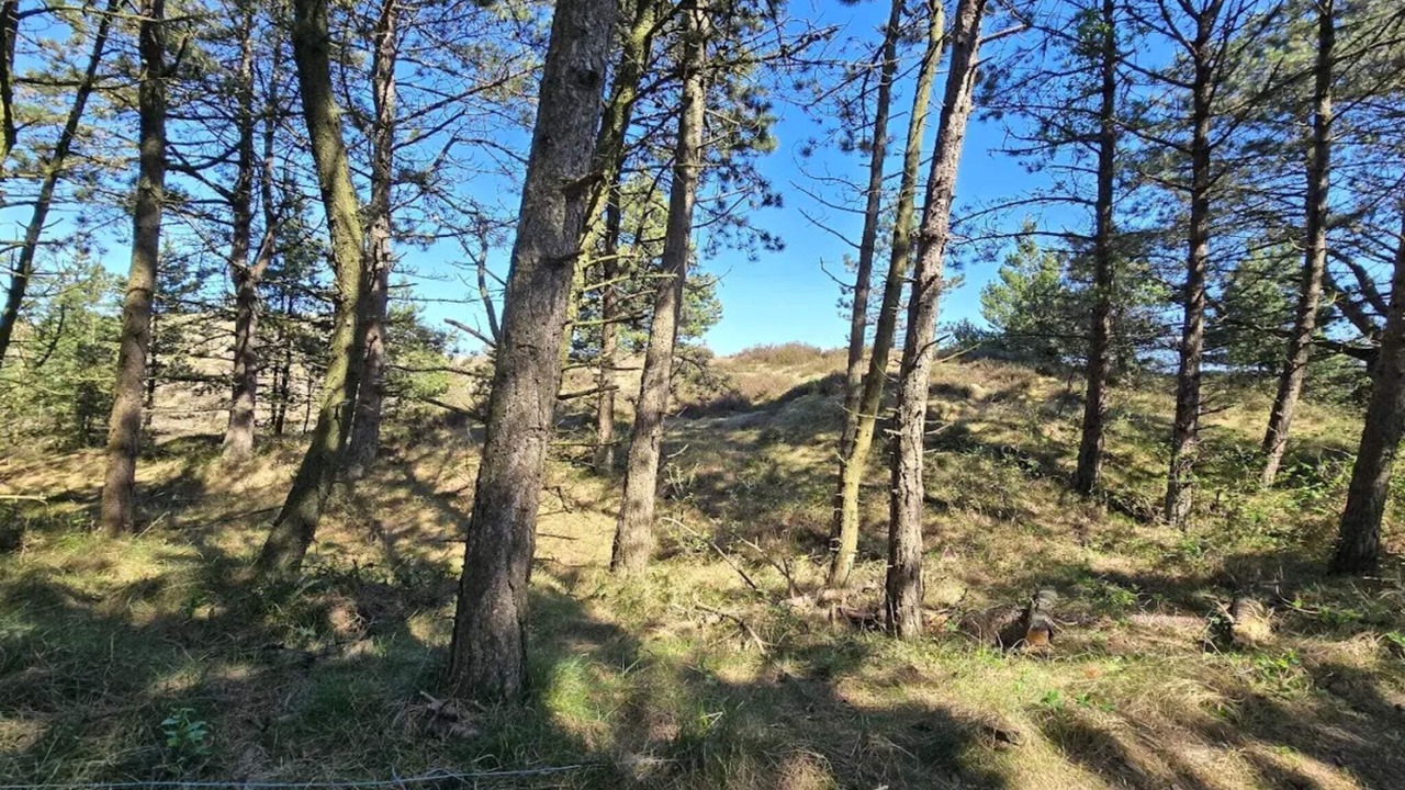 Photo of Others in Toftum