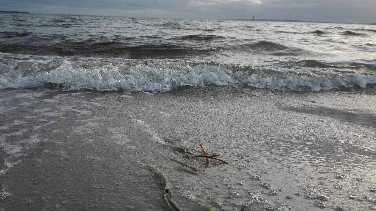 Photo of Others in Elsegarde Strand