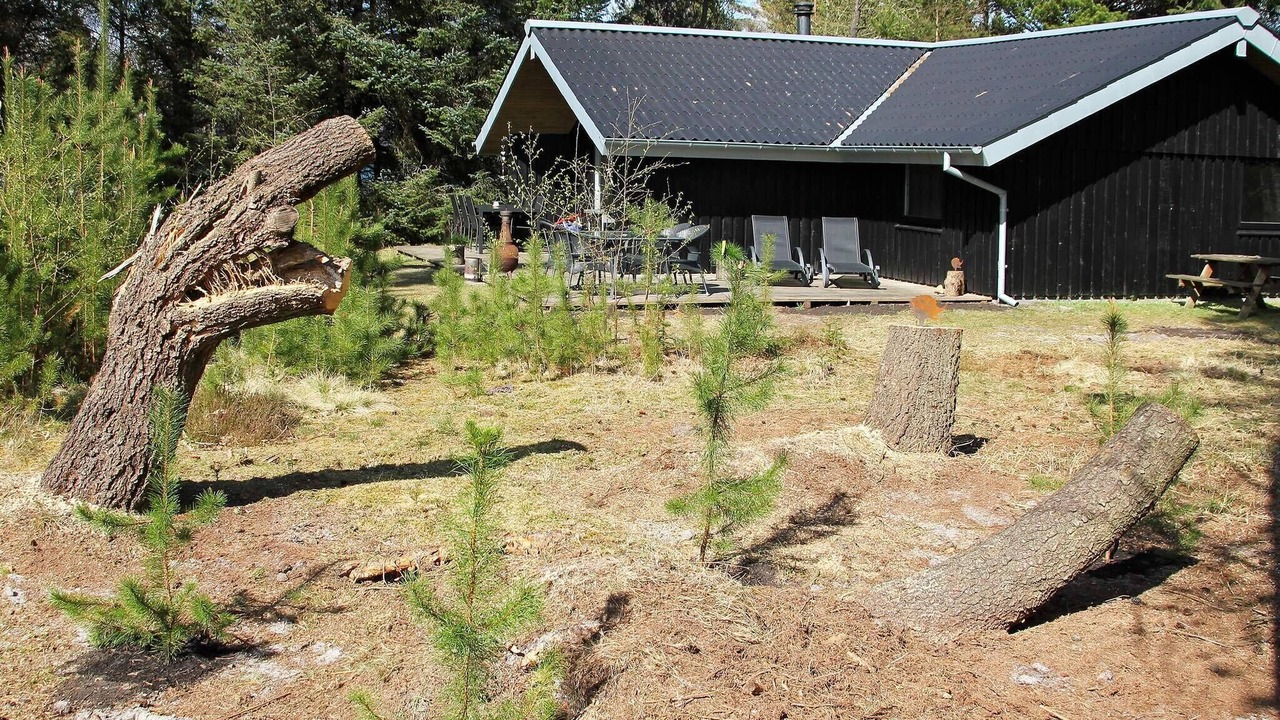 Photo of Outdoor in Houstrup