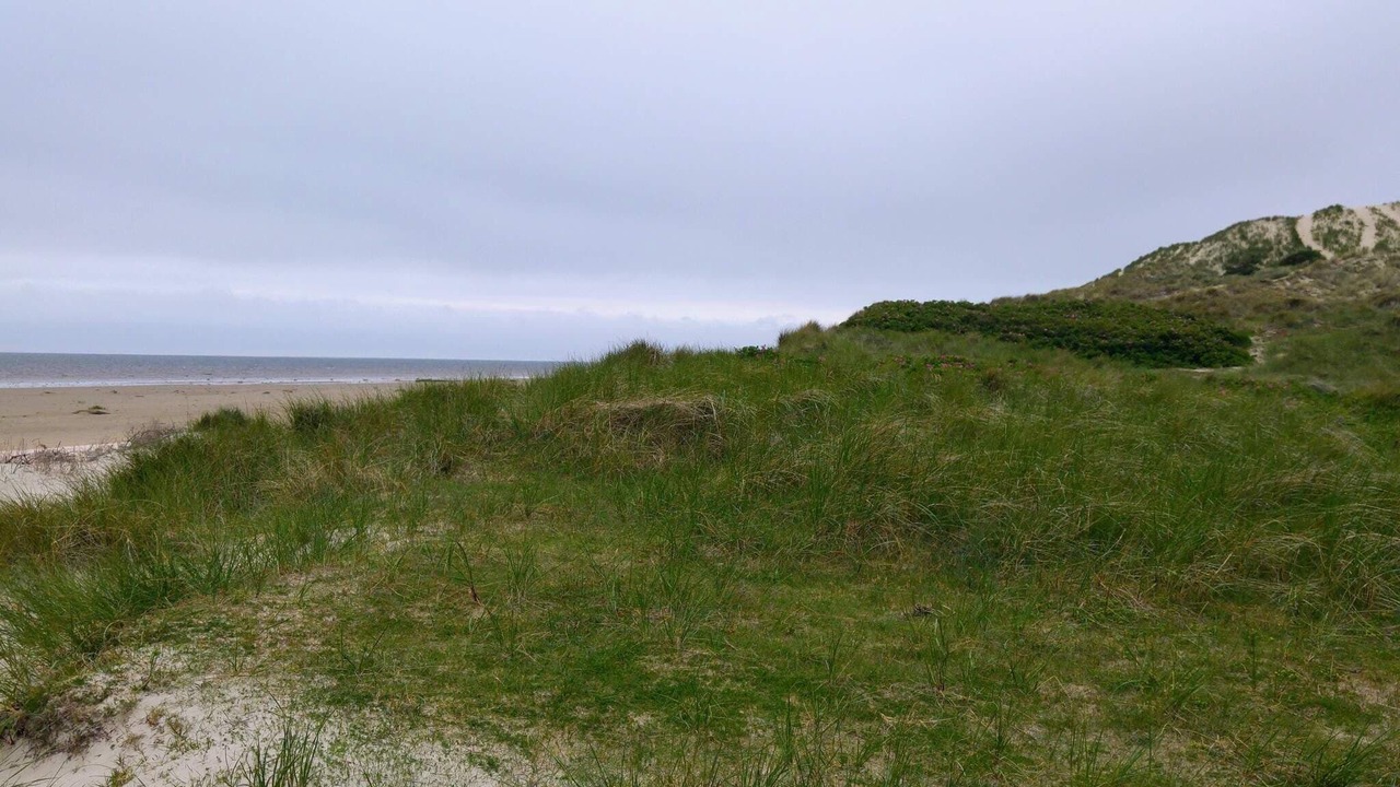 Photo of Others in Sønderho