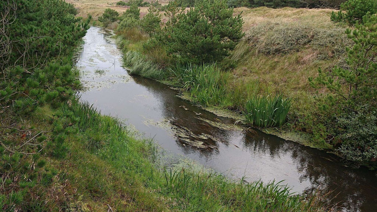 Photo of Others in Vejers