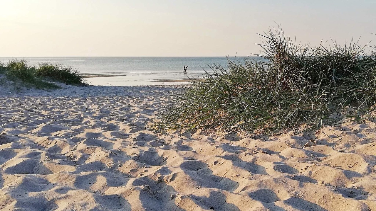 Photo of Others in Fjellerup Strand