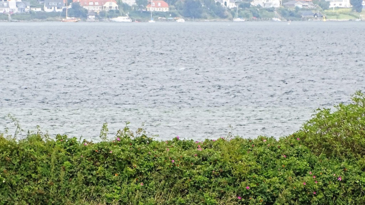 Photo of Others in Vemmenæs