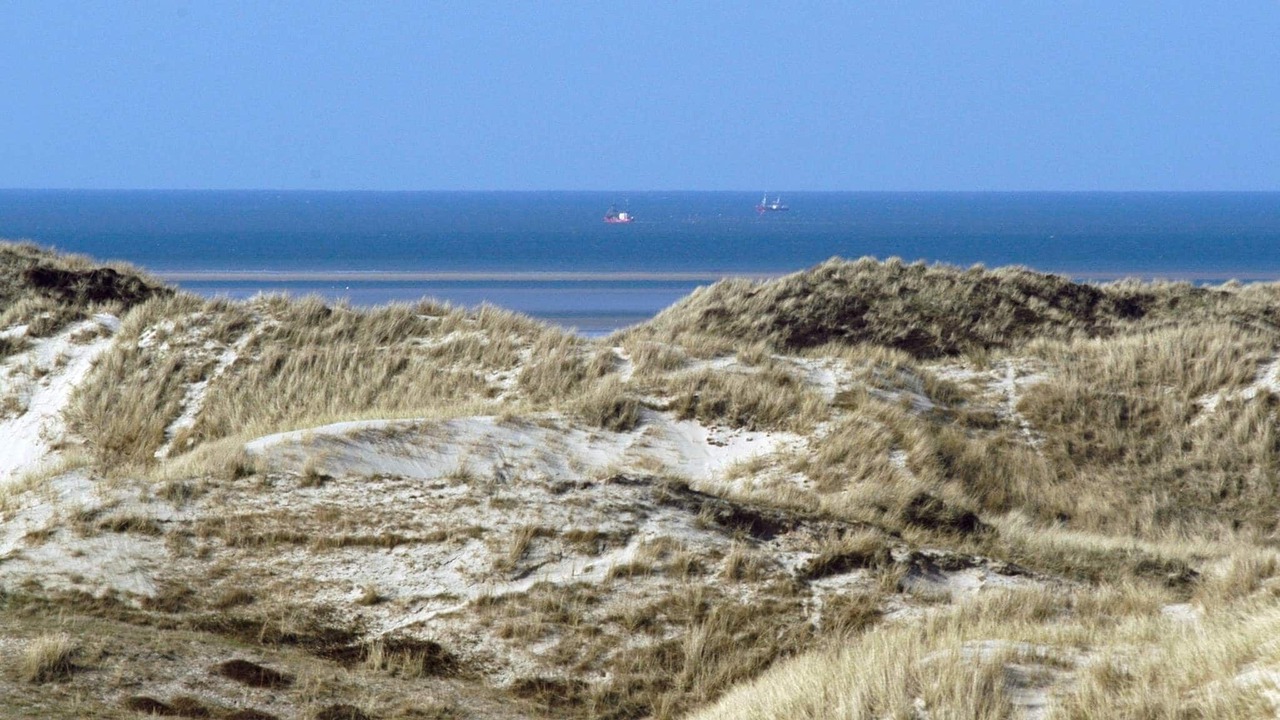 Photo of Others in Rindby Strand