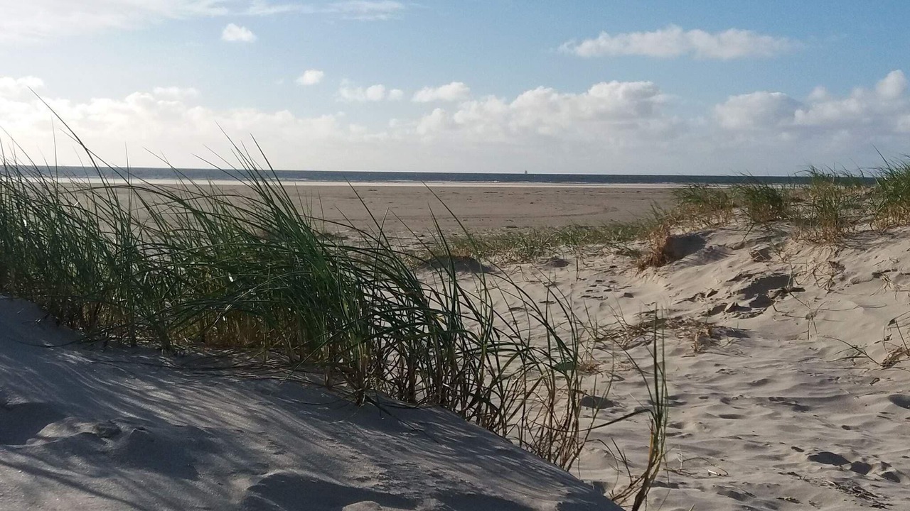 Photo of Others in Rindby Strand