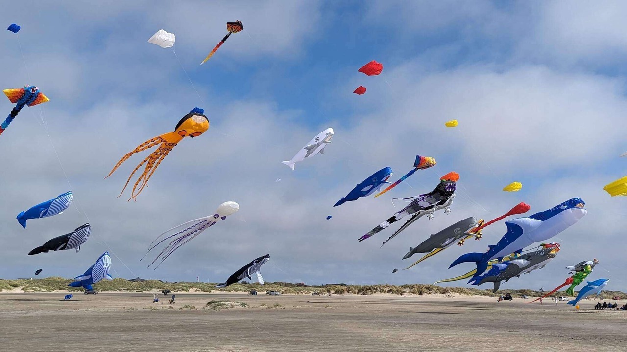 Photo of Others in Rindby Strand