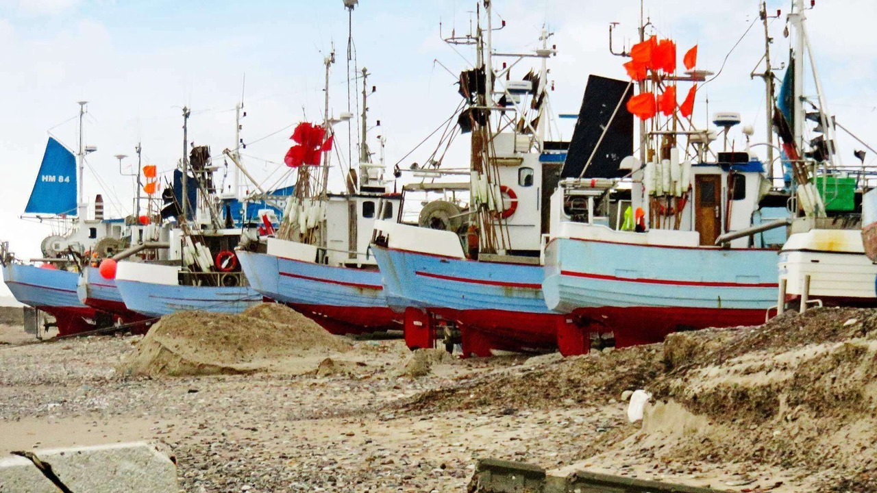 Photo of Others in Torup Strand