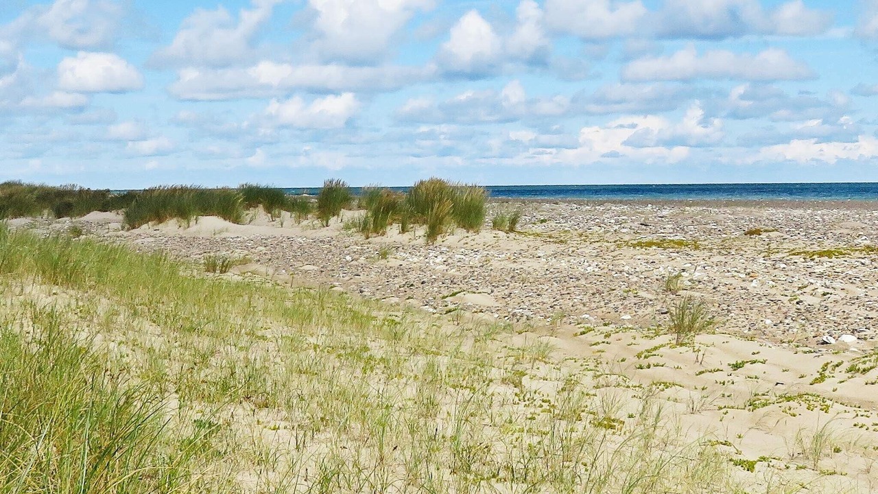 Photo of Others in Torup Strand
