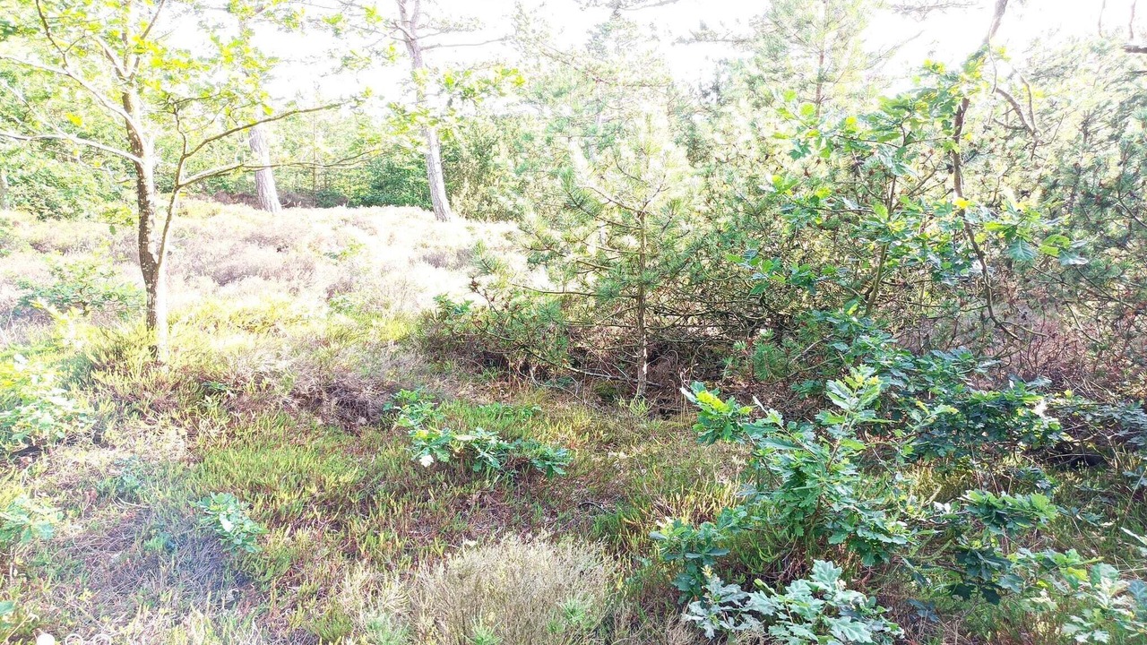 Photo of Others in Bolilmark