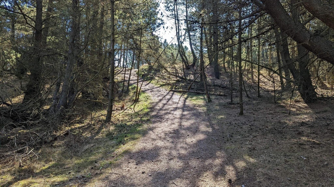 Photo of Others in Bolilmark