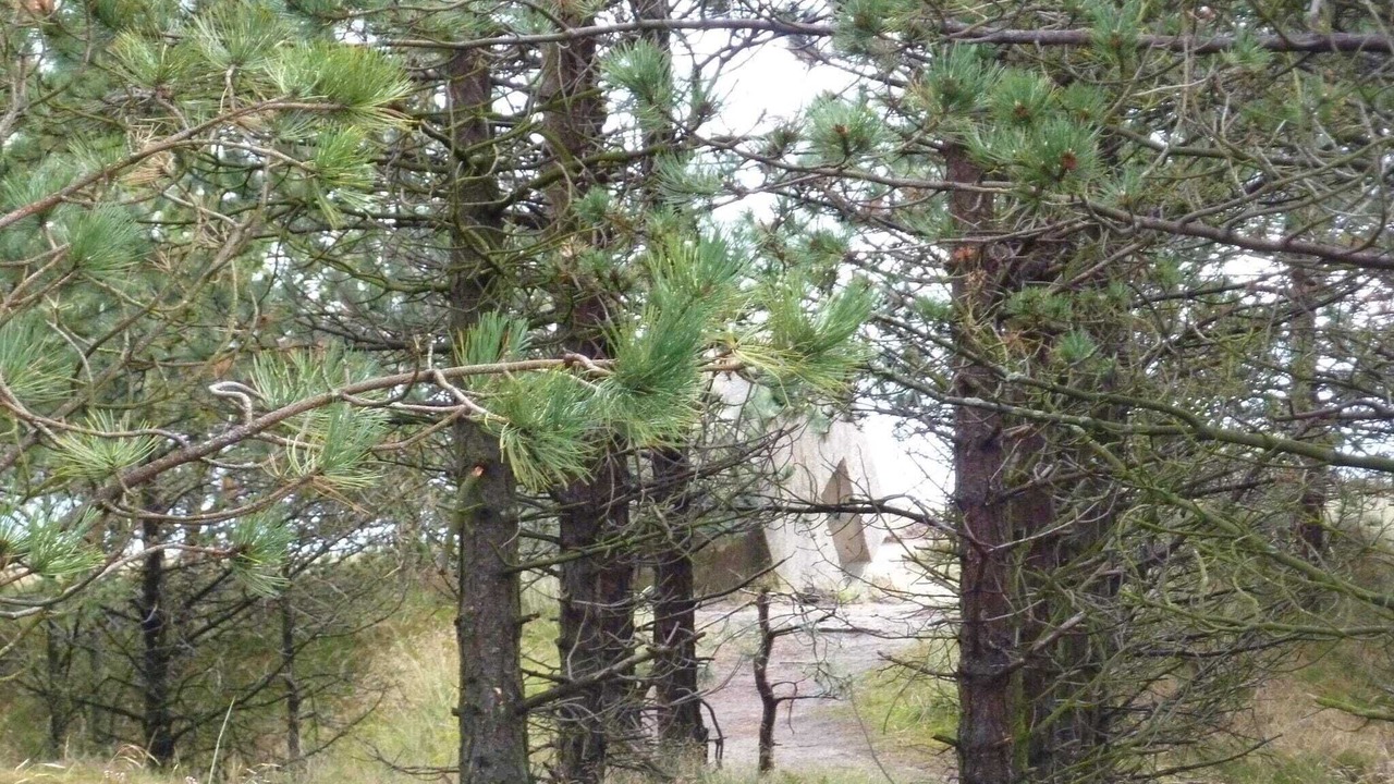 Photo of Others in Bolilmark