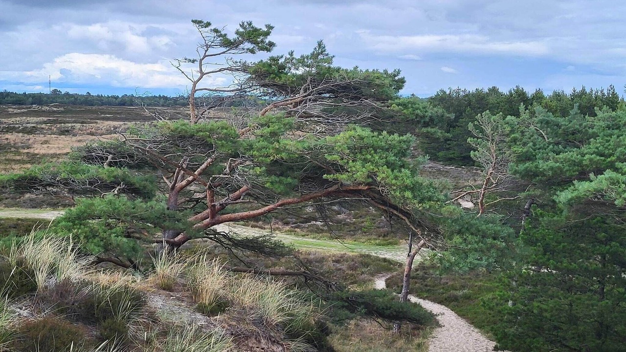 Photo of Others in Bolilmark