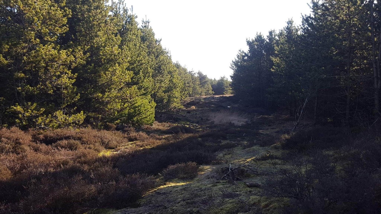 Photo of Others in Bolilmark