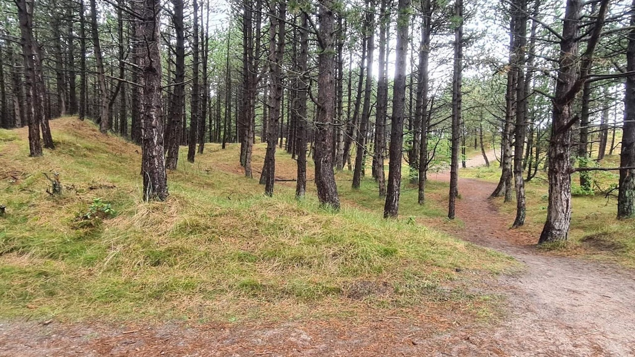 Photo of Others in Bolilmark