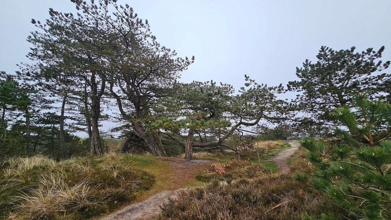 Photo of Others in Bolilmark