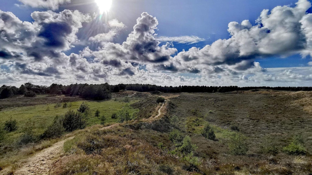 Photo of Others in Bolilmark