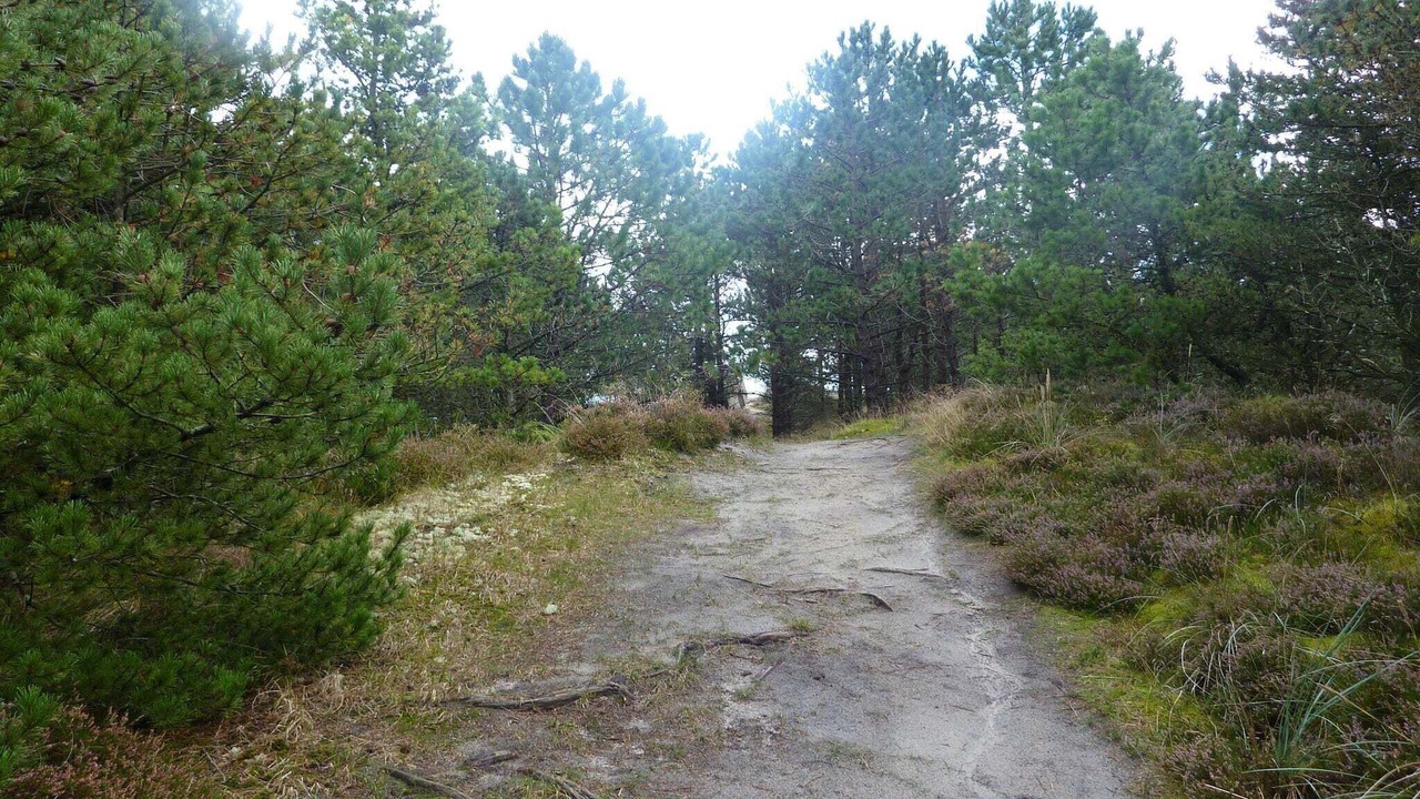 Photo of Others in Bolilmark