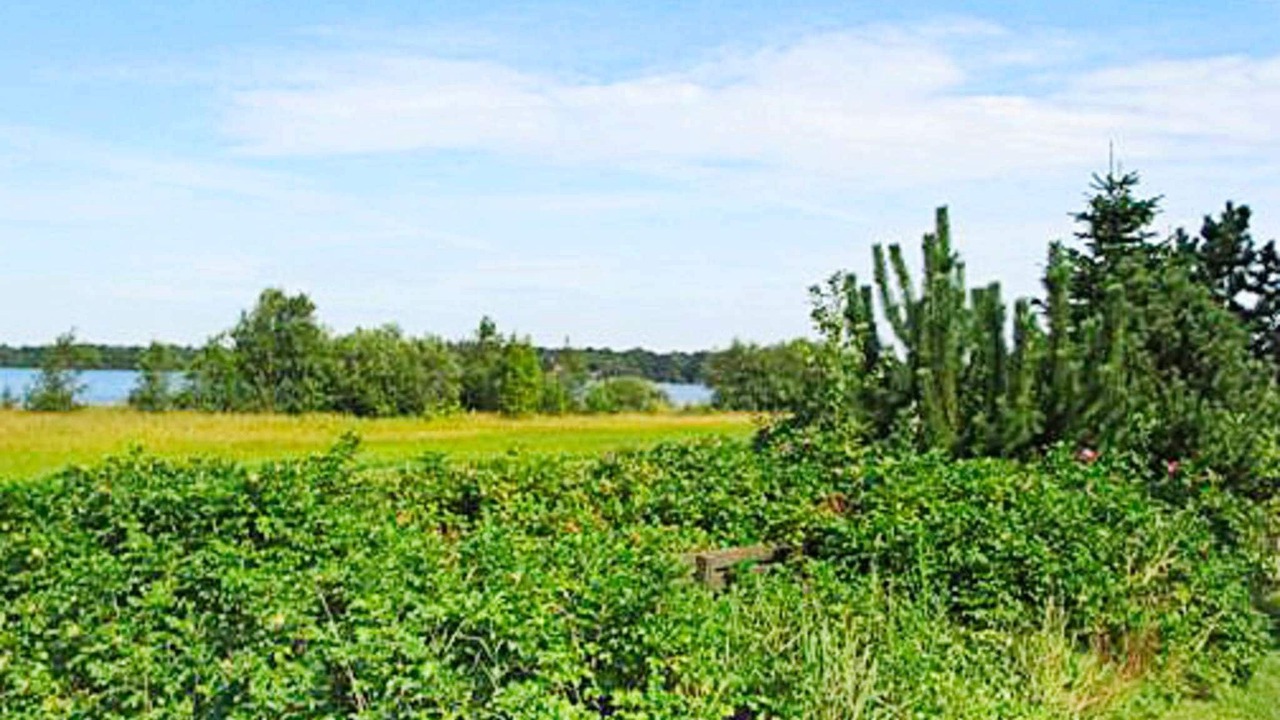 Photo of Others in Ansager