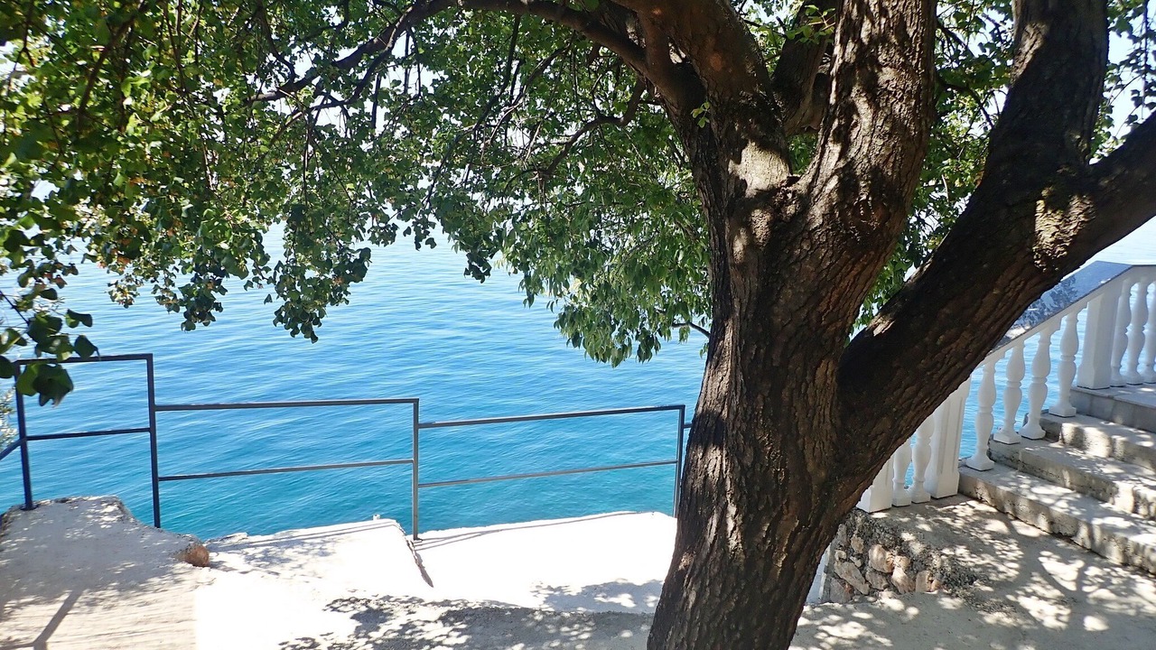 Photo of Outdoor in Baric Draga
