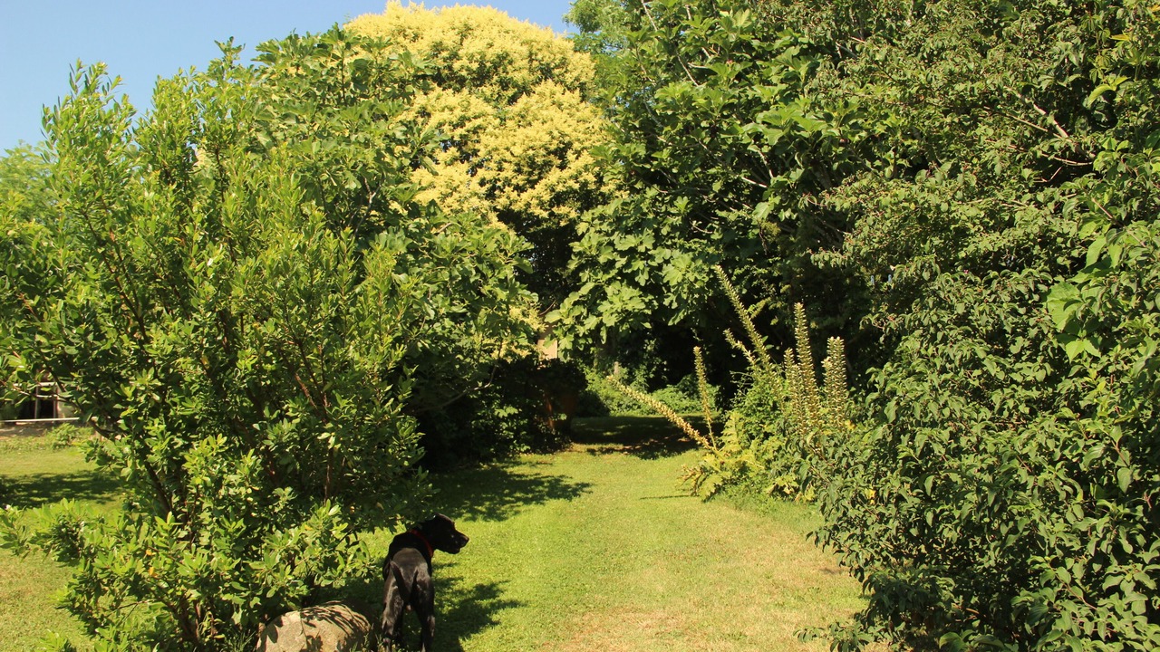 Photo of Outdoor in Pont-Saint-Esprit